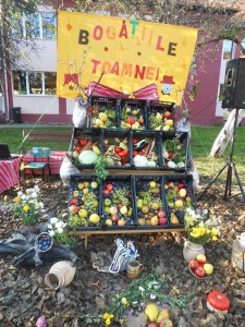 1382112_733120463429184_8296010608323353072_n